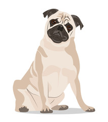 Abstract dog vector illustration.  Pug sit on the white background.