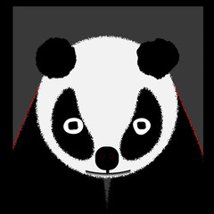 face of a panda