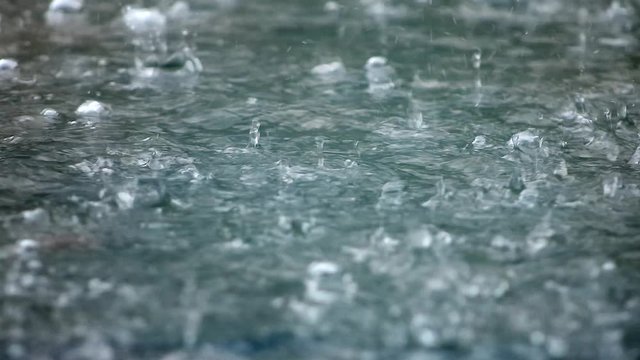 Raindrops make small bubbles in puddles, waves on the water surface