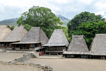Inside view on the traditional Bena village in Bajawa, Flores, Indonesia. There are many small houses around, made of natural parts like wood and straw. History and tradition mingling with presence.