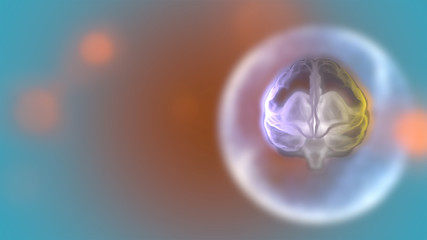 3d render high-functioning brain processing information inside a transparent sphere over light digital background.