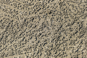 Seminyak Beach on Bali, Indonesia covered with small sandy balls, created by sand bubbler crabs. The balls create nice constructions. Mysterious work of art. Thousands of little balls.
