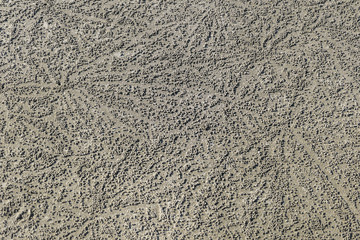 Seminyak Beach on Bali, Indonesia covered with small sandy balls, created by sand bubbler crabs. The balls create nice constructions. Mysterious work of art. Thousands of little balls.