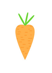 Carrot illustration. Illustration on the theme of vegetables. Dietary foods.