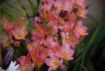 Beautiful and delicious basket of strawberries put on sale to the public in a rural market in full season of consumption of this healthy fruit.
