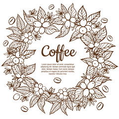 Vector banner template with branches of coffee tree with flowers, leaves, berries and beans. Border coffee plant