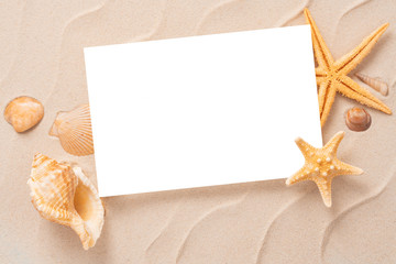 Fototapeta na wymiar Minimal Frame summer background, Sand shells Seastar vacation and travel concept, Flat lay top view copy space