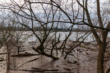 Überschwemmung in Auenlandschaft nach starken Regenfällen mit Bäumen im Wasser und Land unter der Wiese und angespültem Treibholz und Treibgut am Flussufer