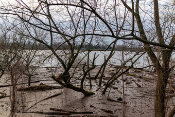 Überschwemmung in Auenlandschaft nach starken Regenfällen mit Bäumen im Wasser und Land unter...