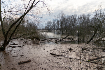 Überschwemmung in Auenlandschaft nach starken Regenfällen mit Bäumen im Wasser und Land unter...