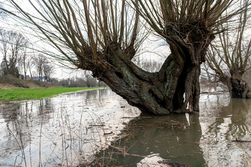 Überschwemmung in Auenlandschaft nach starken Regenfällen mit Bäumen im Wasser und Land unter...