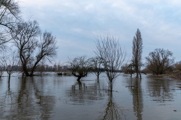 Überschwemmung in Auenlandschaft nach starken Regenfällen mit Bäumen im Wasser und Land unter...