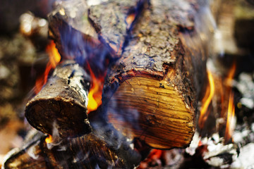 firewood burns in the fire