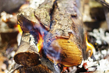 firewood burns in the fire