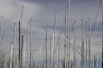 Sehr viele Masten von Segelbooten
