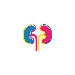 kidneys icon isolated on white, vector Illustration