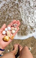 A womanly hand holding a bunch of differently shaped shells on an idyllic sandy beach in Bali, Indonesia. The beach is full of smaller and bigger shells, mixed with the sand. The treasures of nature