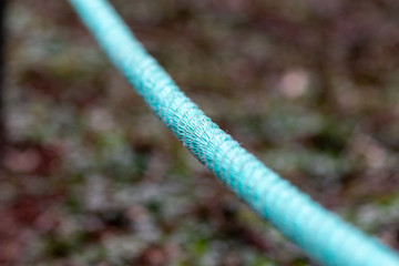 Green stretched rope as a border in the garden 