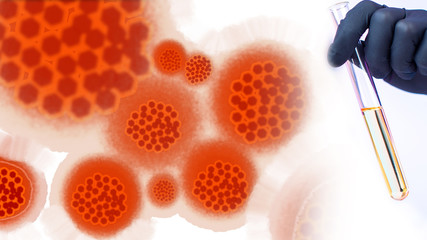 Medical flask in the hands of a laboratory assistant. Test tube with analyzes in the hands of man. Virus molecules on a white background. Concept - the invention of the virus. Drug development