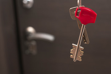Door keys hanging in front of a closed door