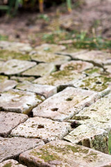 Old brick paving background closeup. Vintage brick texture