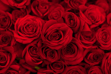 Bouquet of red roses, top view