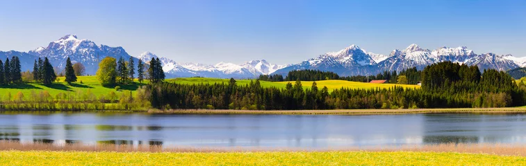 Photo sur Plexiglas Ciel bleu paysage panoramique avec prairie et lac devant les montagnes des alpes