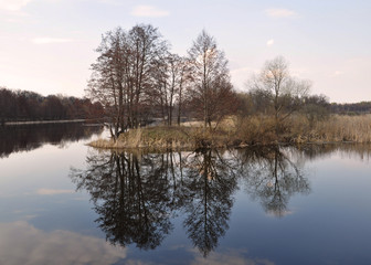 Spring landscape with an island overgrown with trees, soft warm light, reflection of trees in the...