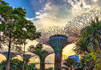 Singapore © Andrzej