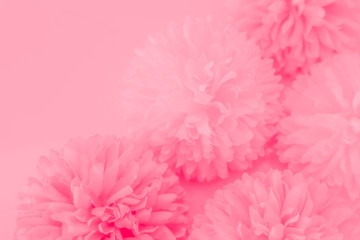 Beautiful abstract color white and pink flowers on white background and white graphic flower frame and pink leaves texture, pink background, colorful graphics banner happy valentine day