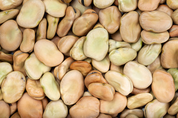 dry broad beans as a background