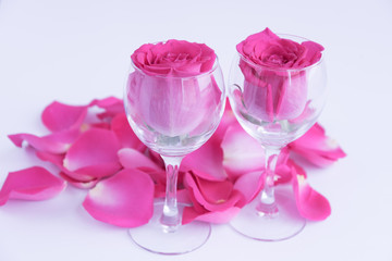 Large heads of fresh roses in wine glasses. Two glasses of roses surrounded by flower petals. White background. Concept. Love, freshness, romance.