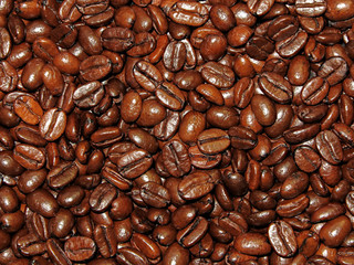 coffee beans background