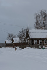Fototapeta na wymiar Russian winter