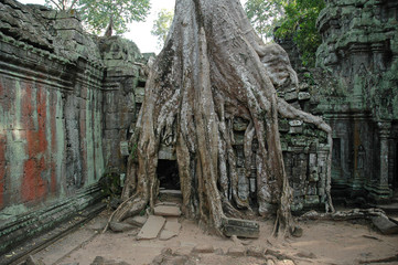 Angkor Wat Tomb Raider Temple