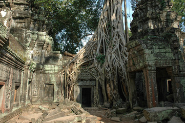 Angkor Wat Tomb Raider Temple