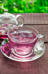 Clover flower tea in the glass cups and teapot on a wooden table.