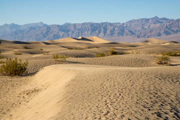 Fototapeta na wymiar A trip in west USA death valley dunes