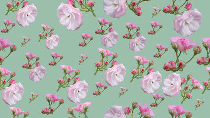 Cute Floral seamless pattern in the small flower. Rose flower. Motifs scattered random. Elegant template for fashion prints. Printing with very small pink flowers. greenish background.