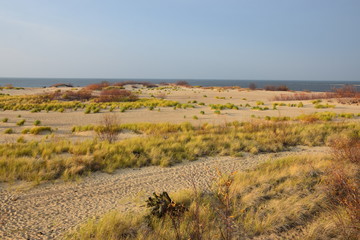 Baltic Sea - dunes in November sun
