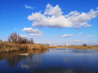 Reeds on the lake - delta landscape