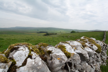 Weg