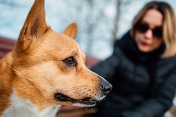 young girl and corgi, beautiful woman with dog outdoors