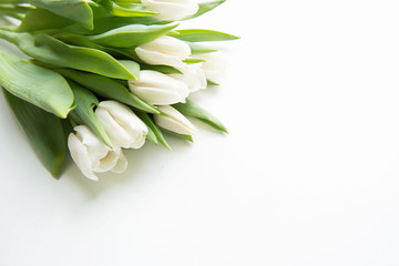 Fototapeta premium Bouquet of flowers. White Tulip on white background. Beautiful flowers for valentines and wedding scene. Valentines and 8 March Mother Women's Day concept.