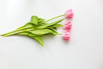 three pink tulips on a white background