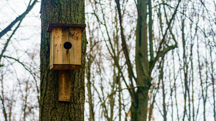 Simple handmade wooden bird nesting box on a tree. Birdhouse on the blurry background of rees and gloomy sky.