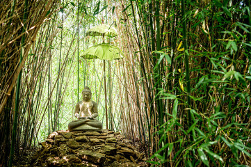 Buddha in green bamboo garden