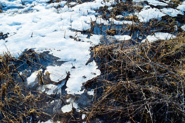 The beginning of spring. Nature awakens from winter. Thawed snow, flowers, trees, streams, bushes, grass and land.