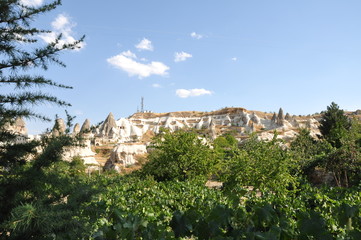 Obraz premium church in the village