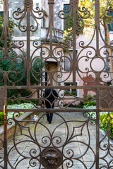 Man with Dog going for a walk, view through an Iron Gate, Venice/Europe